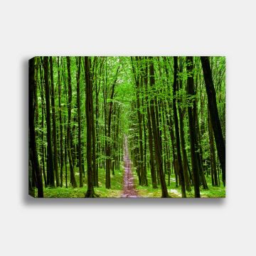Manzara Kanvas Tablo 90cm x 130cm