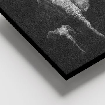 Dev Boyut Kanvas Tablo