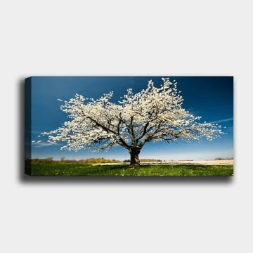 Yatay Kanvas Tablo 40cm x 100cm