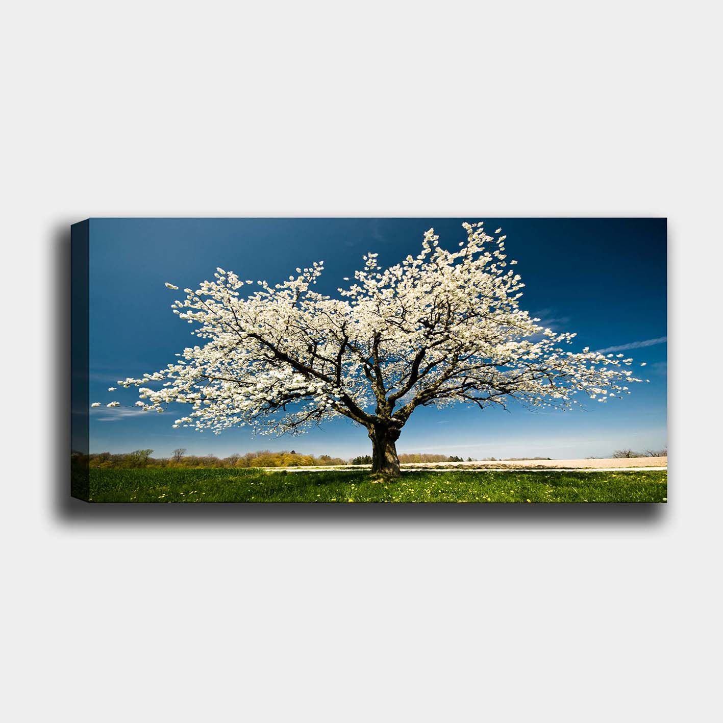 Yatay Kanvas Tablo 50cm x 120cm