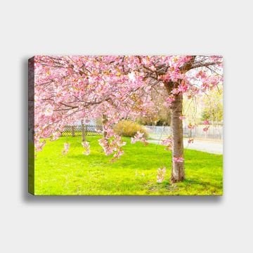 Manzara Kanvas Tablo