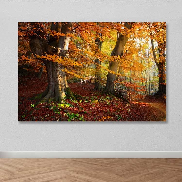 Dev Boyut Kanvas Tablo