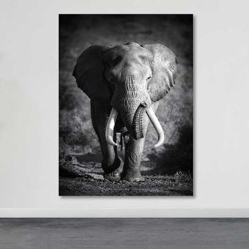 Dev Boyut Kanvas Tablo 100cm x 140cm
