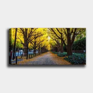 Yatay Kanvas Tablo 50cm x 120cm
