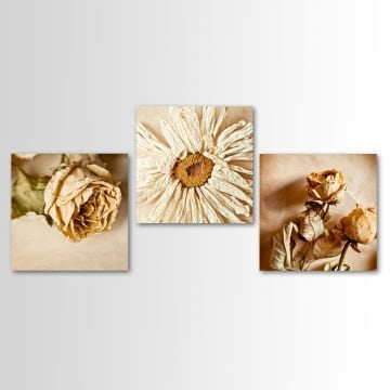 3 Parçalı Kanvas Tablo