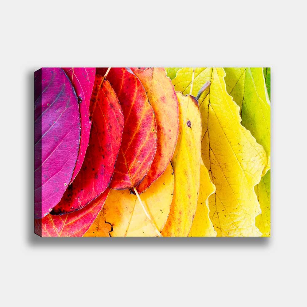 Renkli Yapraklar Kanvas Tablo 90cm x 130cm