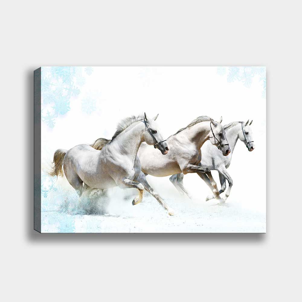 Kanvas Tablolar 70cm x 100cm