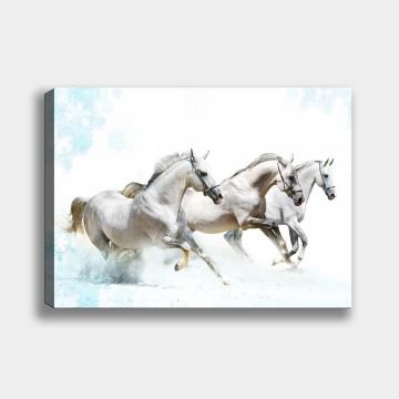 Kanvas Tablolar 70cm x 100cm