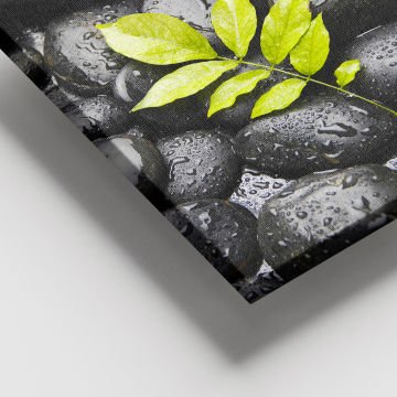 Dev Boyut Kanvas Tablo