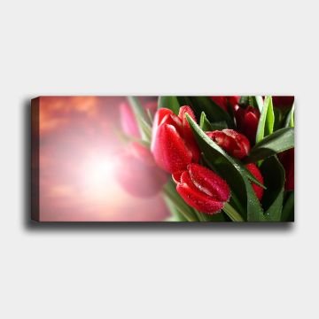 Yatay Kanvas Tablo 60cm x140cm