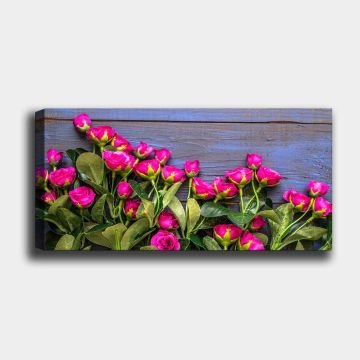 Yatay Kanvas Tablo 30cm x 90cm