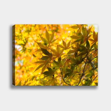 Dekoratif Kanvas Tablo 90cm x 130cm