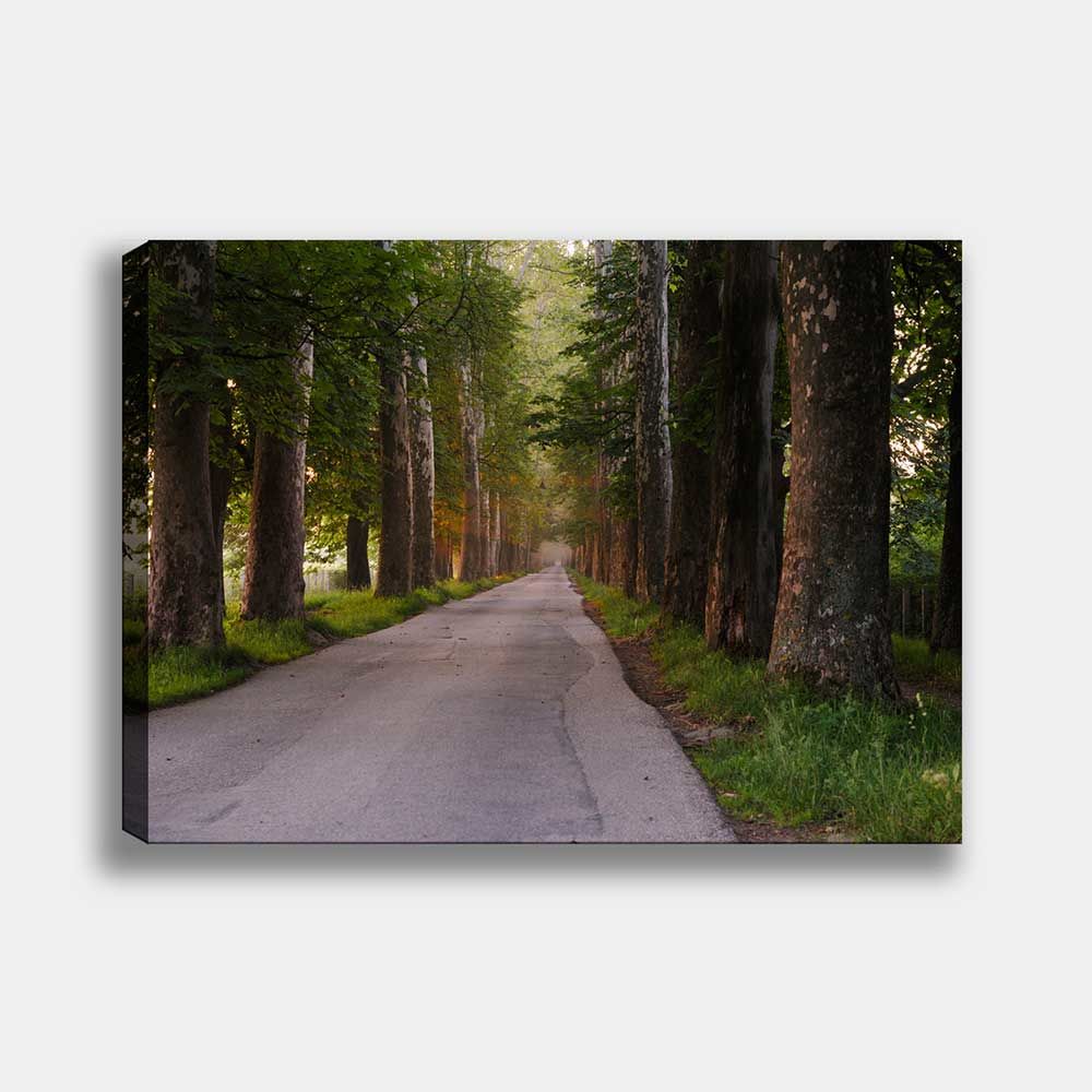 Manzara Kanvas Tablo 70cm x 100cm