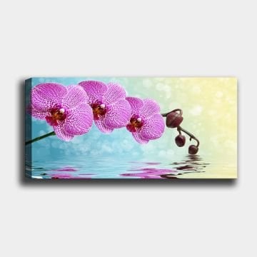 Yatay Kanvas Tablo 40cm x 100cm