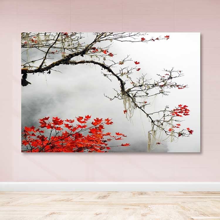 Dev Boyut Kanvas Tablo