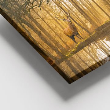 Dev Boyut Kanvas Tablo