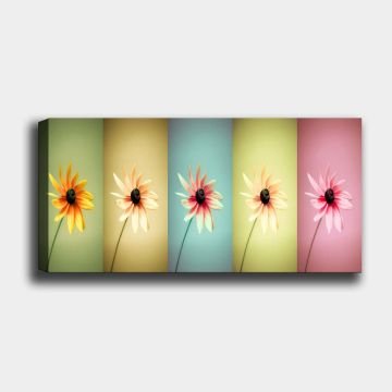 Yatay Kanvas Tablo 60cm x140cm