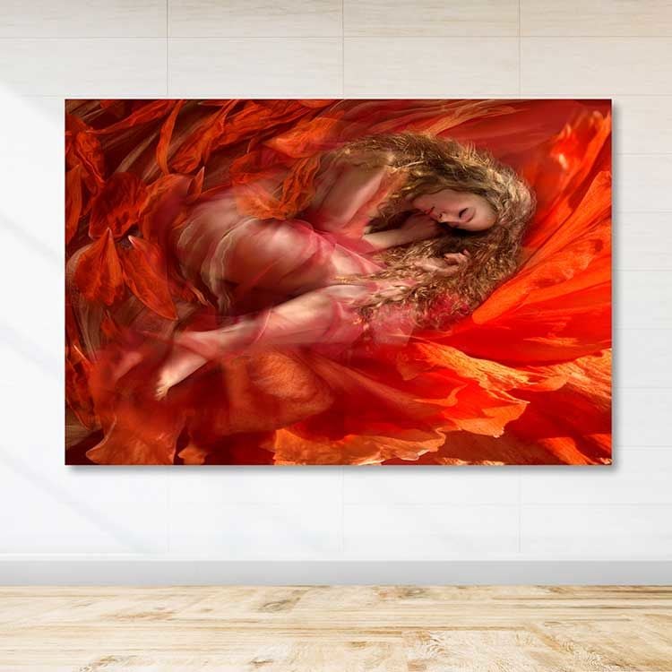 Dev Boyut Kanvas Tablo