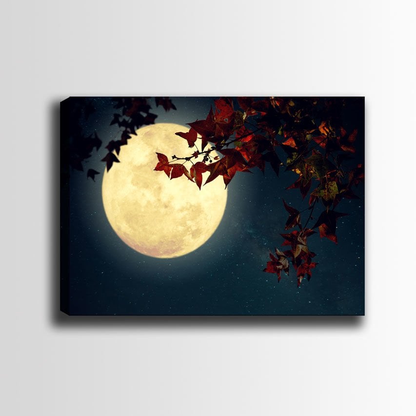 Manzara Kanvas Tablo