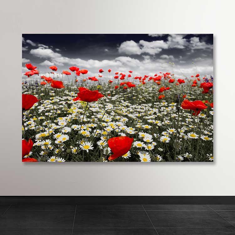 Dev Boyut Kanvas Tablo