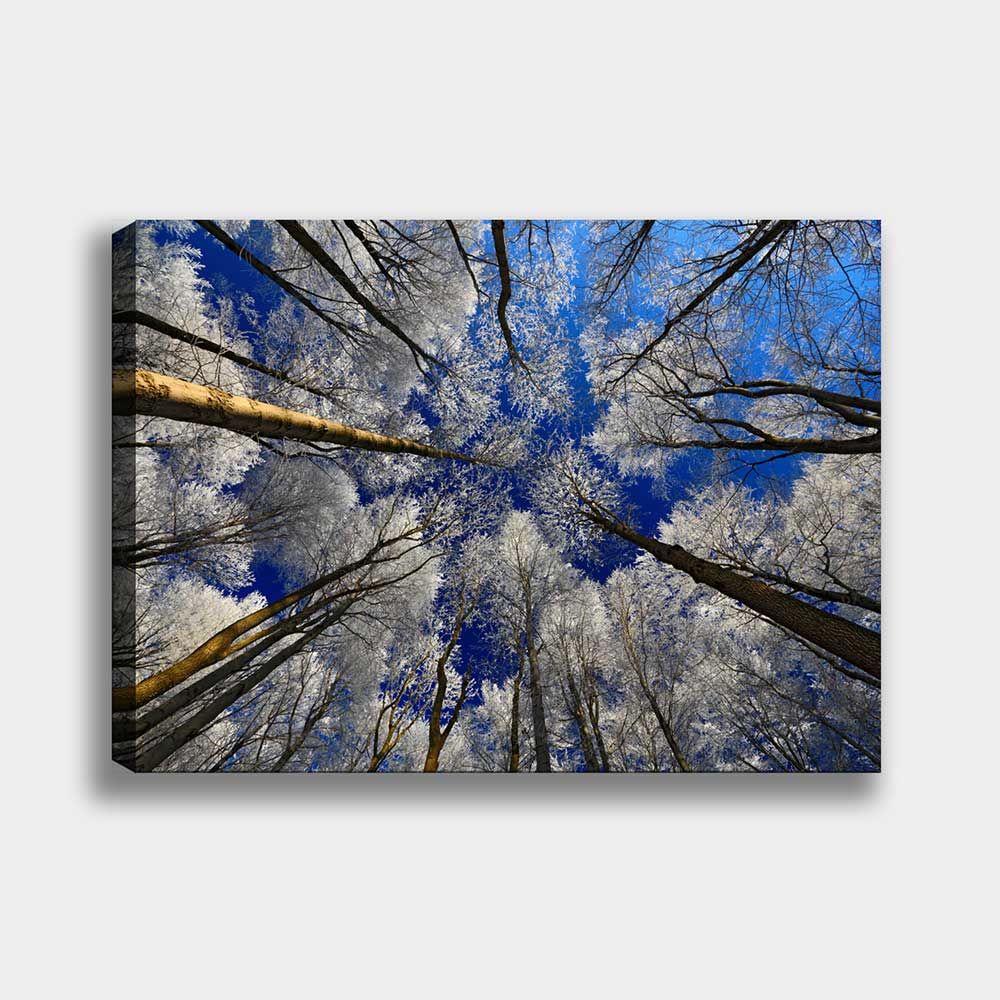 Manzara Kanvas Tablo 90cm x 130cm