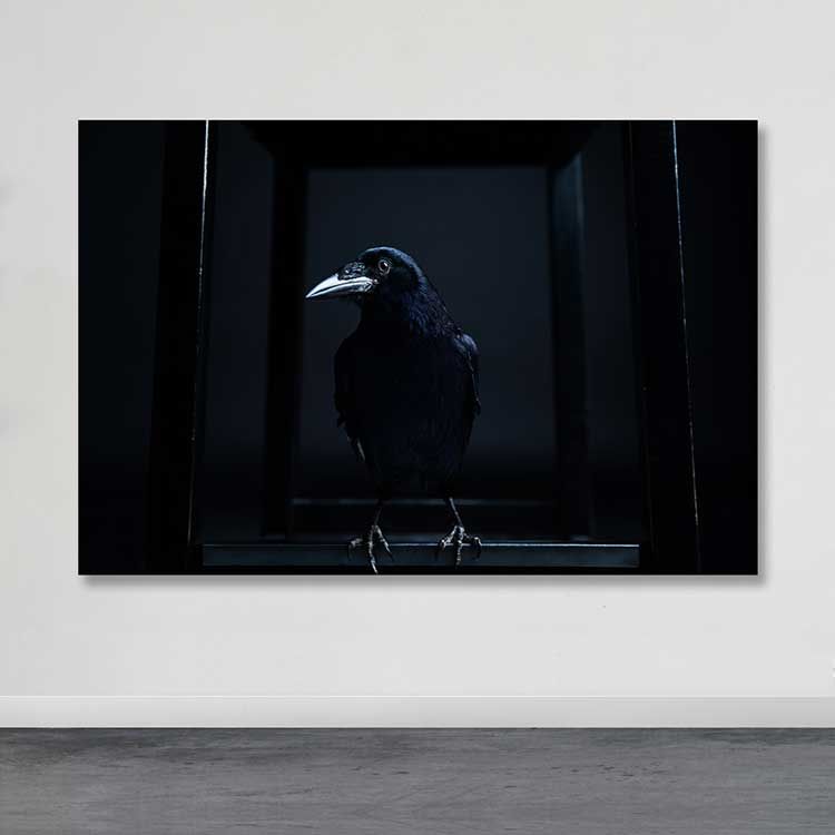 Dev Boyut Kanvas Tablo