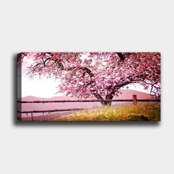 Yatay Kanvas Tablo 50cm x 120cm