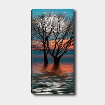 Dikey Kanvas Tablo 50cm x 120cm