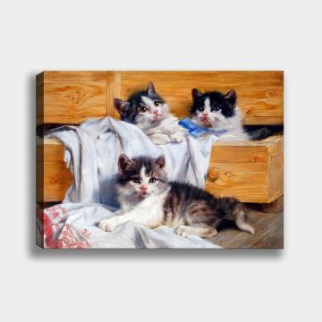 Kanvas Tablolar 100cm x 140cm