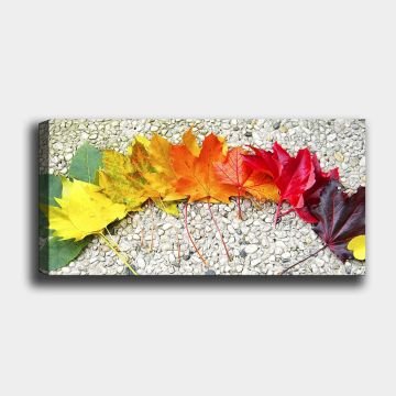 Yatay Kanvas Tablo 30cm x 90cm