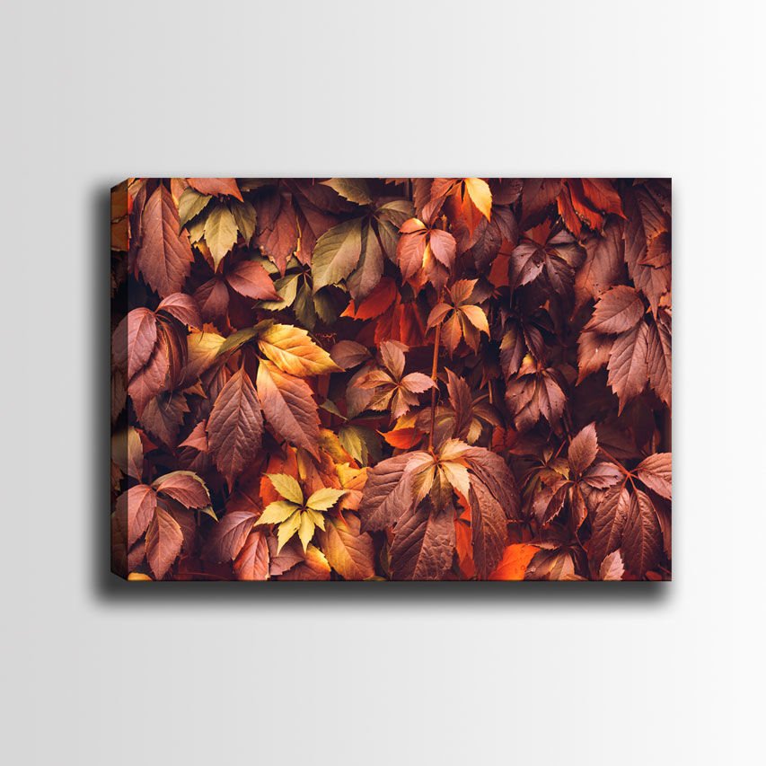 Dekoratif Kanvas Tablo