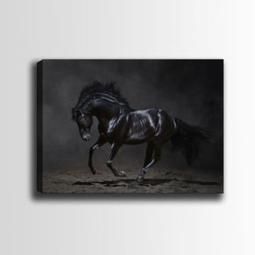 Kanvas Tablo 70cm x 100cm