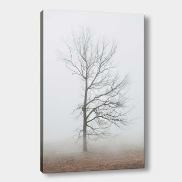 Dekoratif Kanvas Tablo 70cm x 100cm