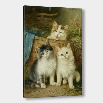 Kanvas Tablolar 100cm x 140cm