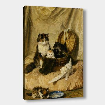 Kanvas Tablolar 50cm x 70cm