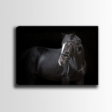 Kanvas Tablo 50cm x 70cm
