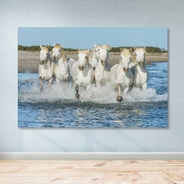 Dev Boyut Kanvas Tablo 100cm x 140cm