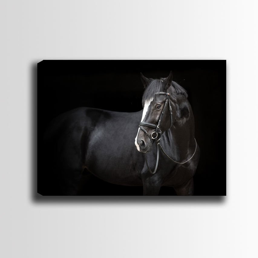 Kanvas Tablo 70cm x 100cm
