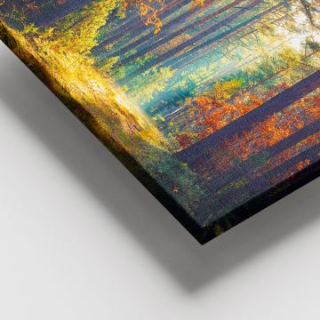 Dev Boyut Kanvas Tablo