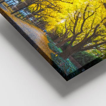 Dev Boyut Kanvas Tablo