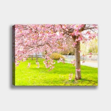 Manzara Kanvas Tablo 70cm x 100cm