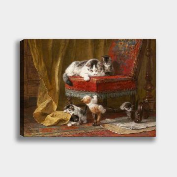 Kanvas Tablolar 70cm x 100cm