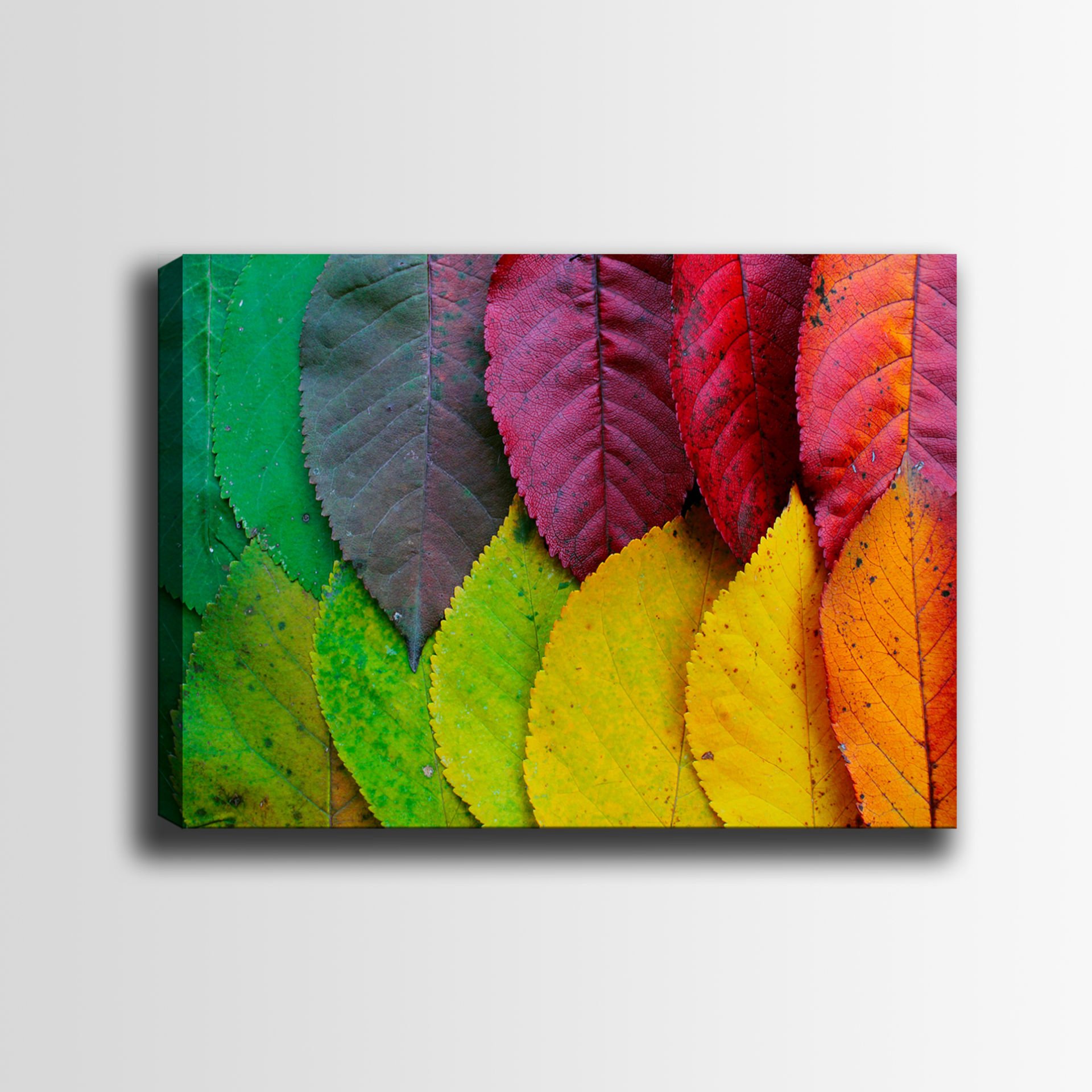 Çiçek Kanvas Tablo 90cm x 130cm