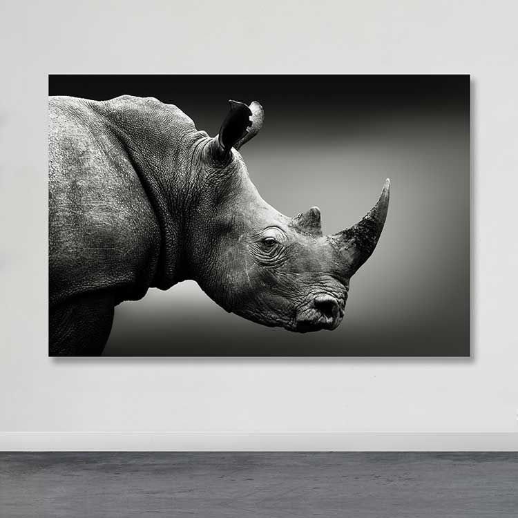 Dev Boyut Kanvas Tablo