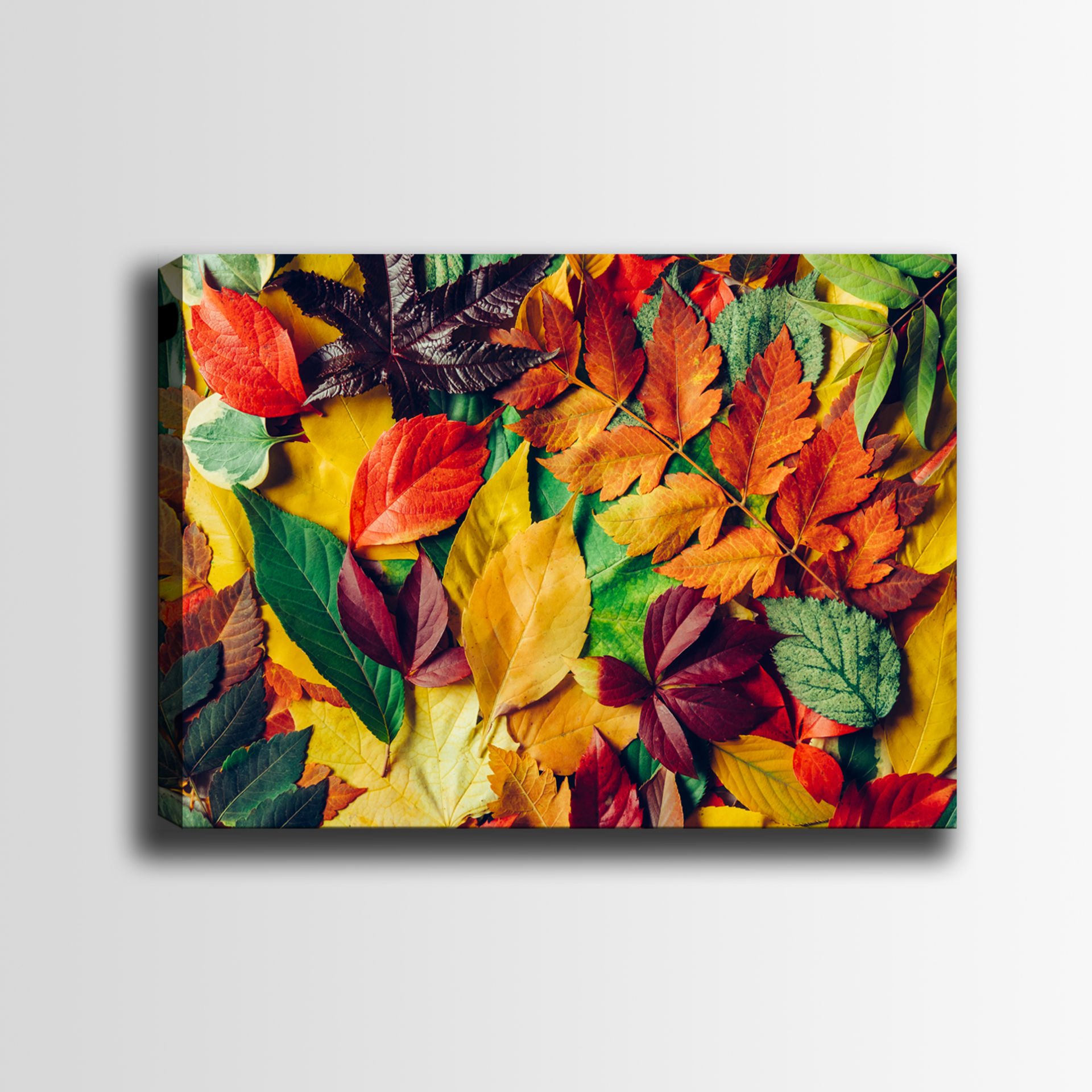 Çiçek Kanvas Tablo 70cm x 100cm