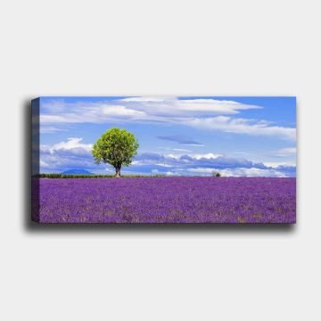 Yatay Kanvas Tablo 60cm x140cm