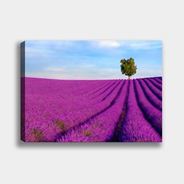 Dekoratif Kanvas Tablo 70cm x 100cm