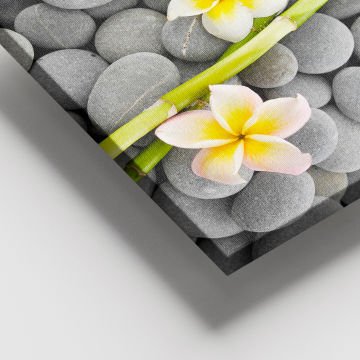 Dev Boyut Kanvas Tablo