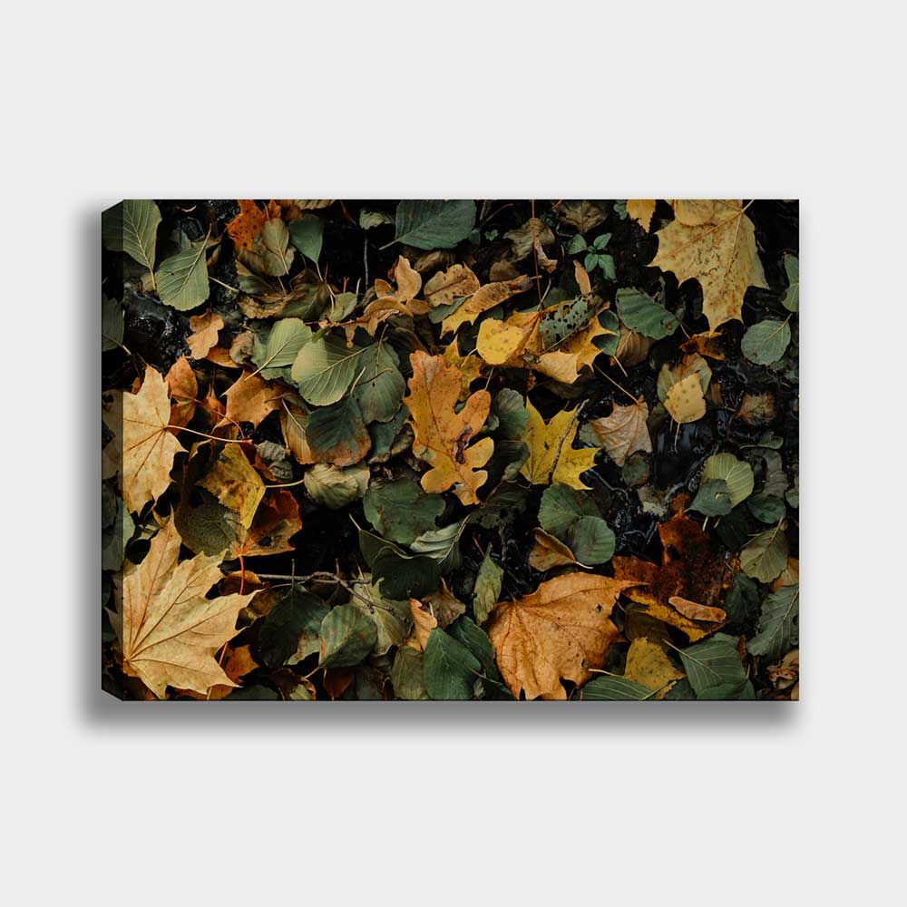 Yapraklar Kanvas Tablo 90cm x 130cm