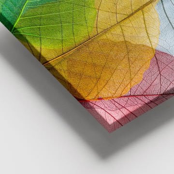 Dev Boyut Kanvas Tablo